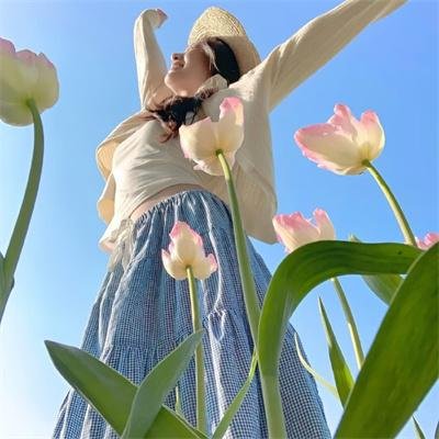 马莲花开